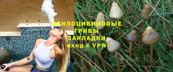 apvp Балабаново