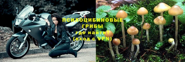 apvp Балабаново
